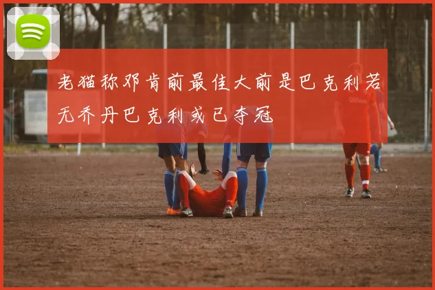 老猫称邓肯前最佳大前是巴克利若无乔丹巴克利或已夺冠