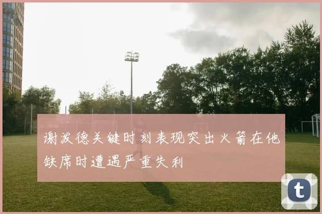 谢泼德关键时刻表现突出火箭在他缺席时遭遇严重失利